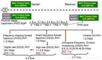 無(wú)線(xiàn)網(wǎng)絡(luò)技術(shù)復(fù)習(xí)筆記 無(wú)線(xiàn)局域網(wǎng)與計(jì)算機(jī)軟件技術(shù)服務(wù)
